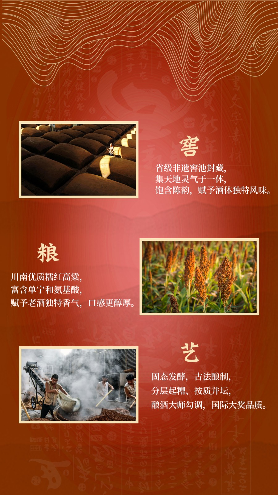 1704164253380523.jpg 1704164253380523.jpg