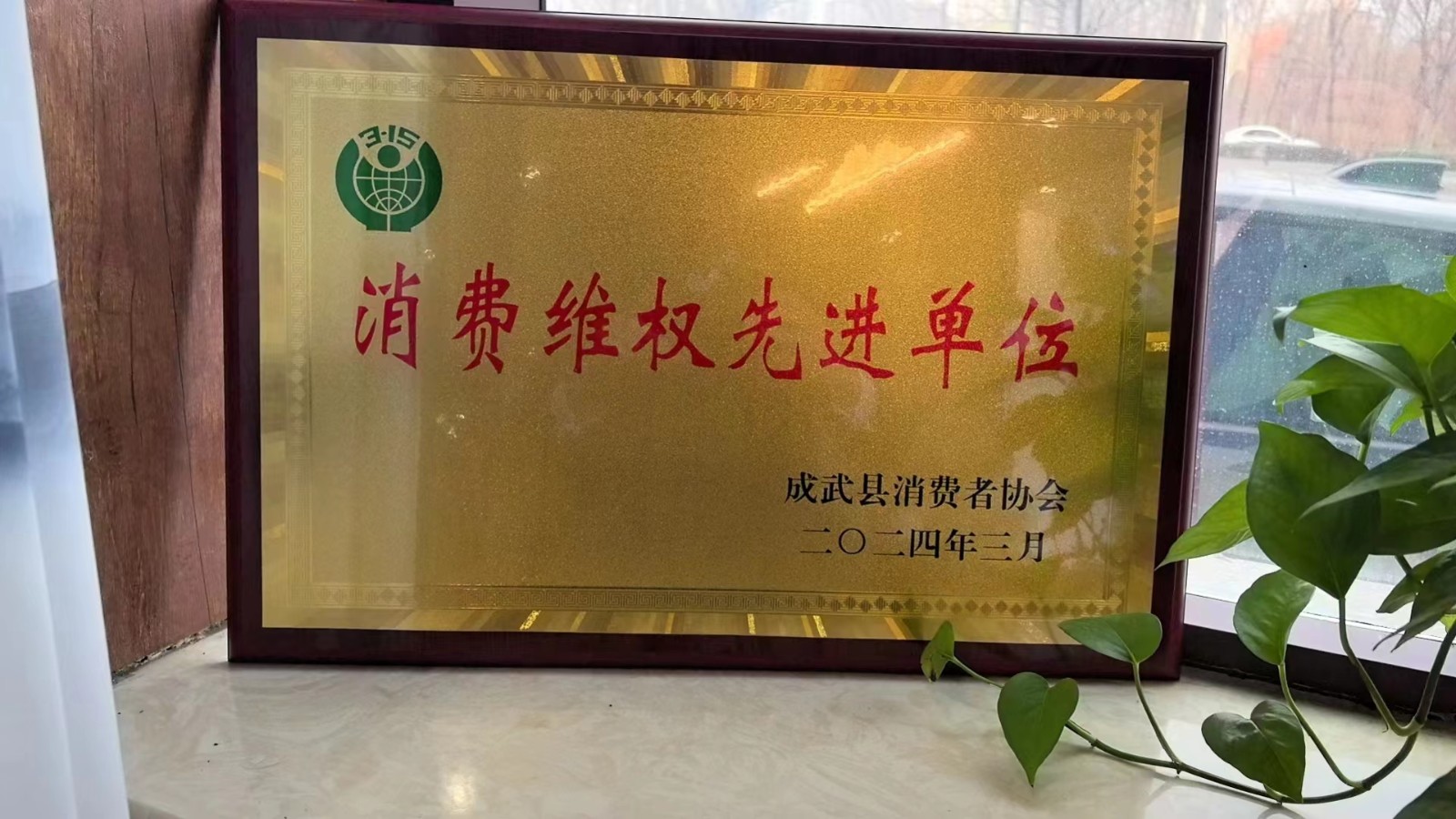 1710500946152282.jpg 1710500946152282.jpg